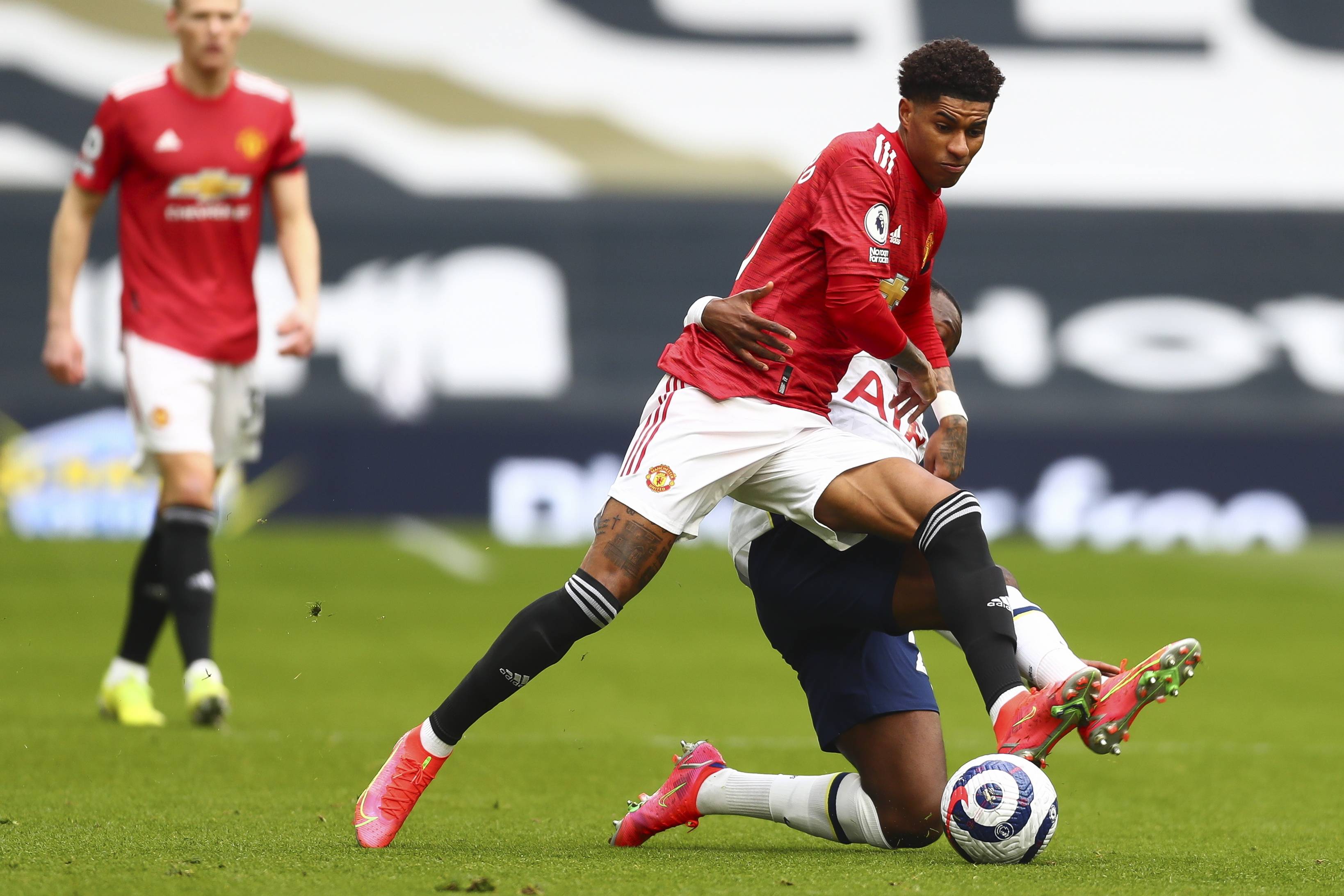 育发展提供 育发展提供